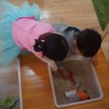 Sensorial Learning in Montessori